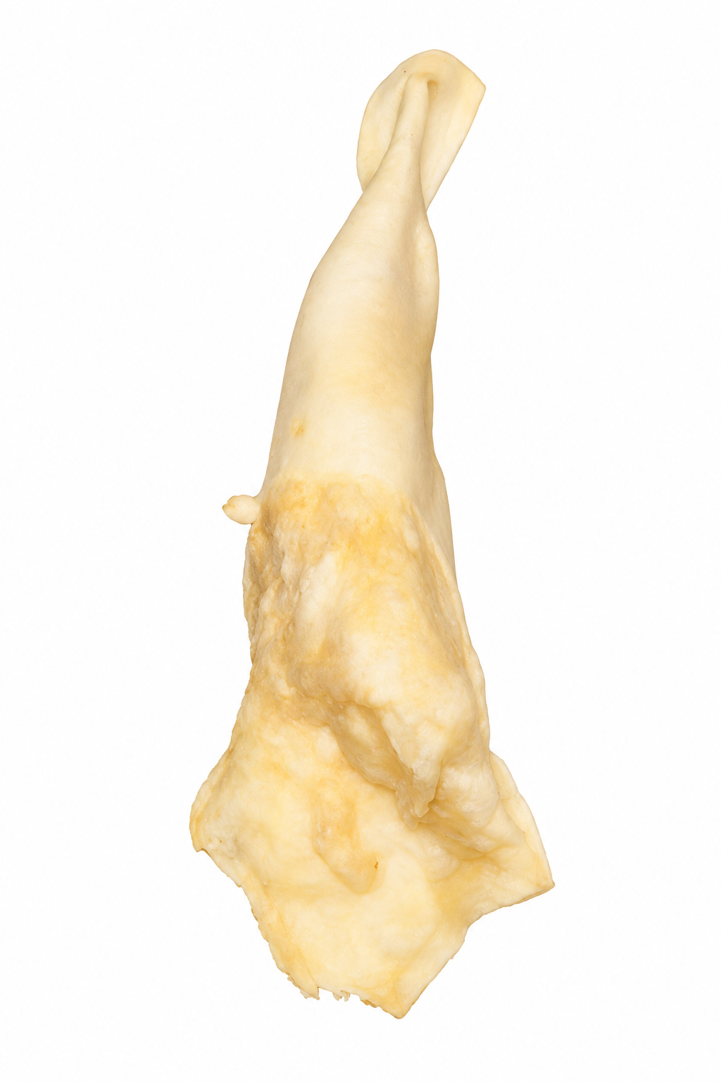 Lamb Ear Without Fur