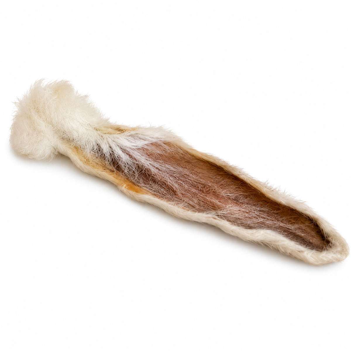 Rabbit Ear With Fur