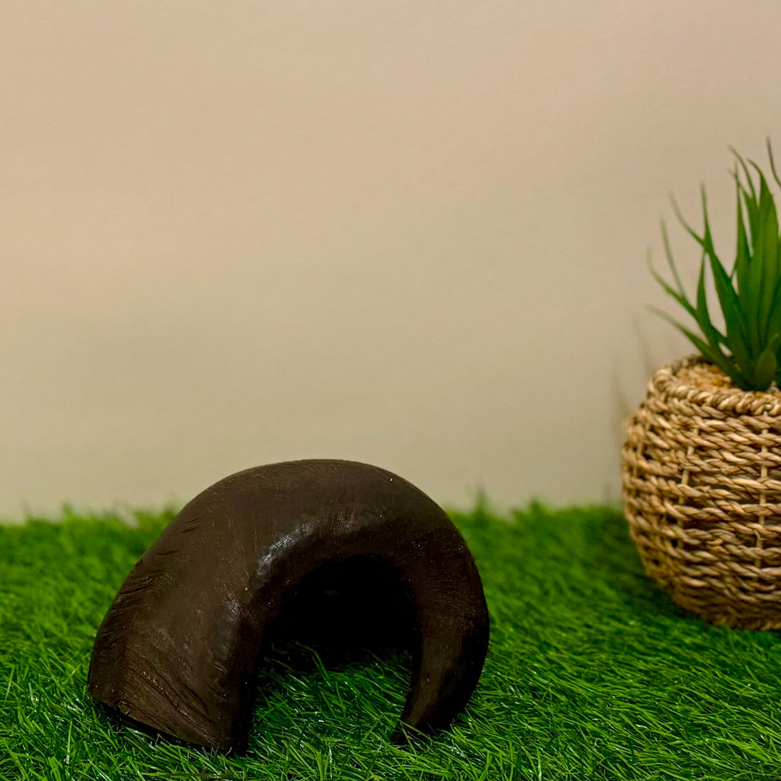 Buffalo Horn Medium
