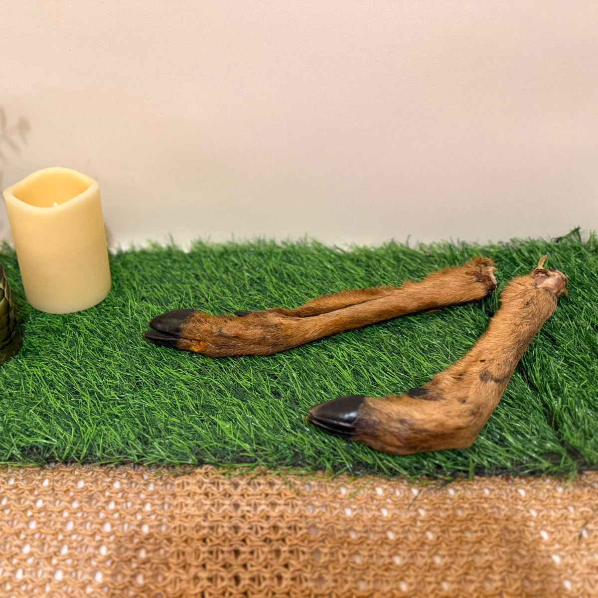 Venison Leg