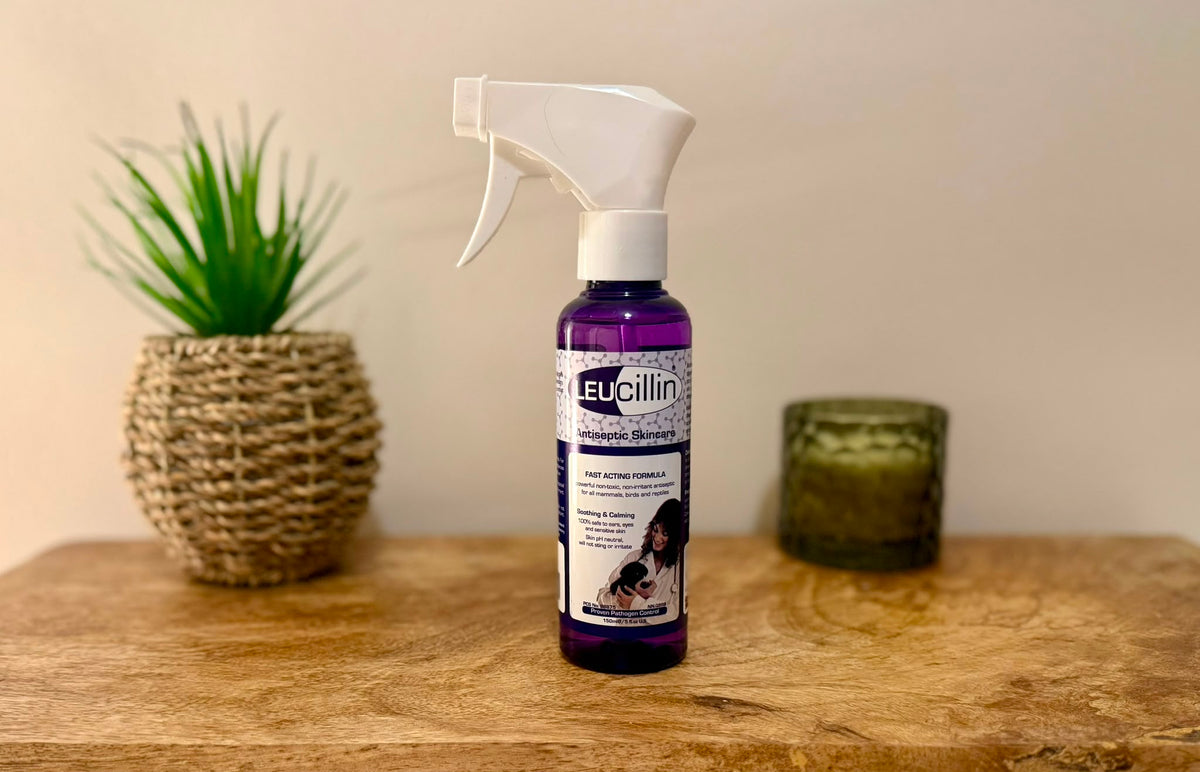 Health and Grooming