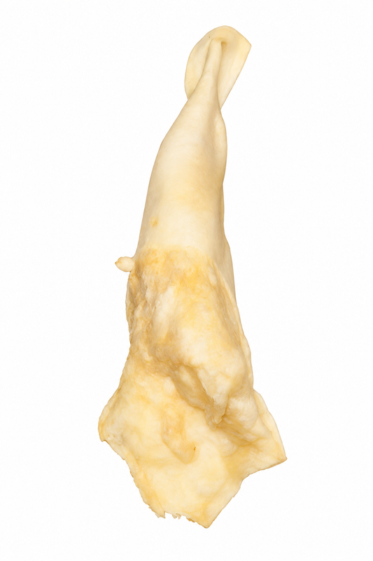 Lamb Ear Without Fur