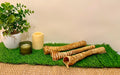 Long Trachea