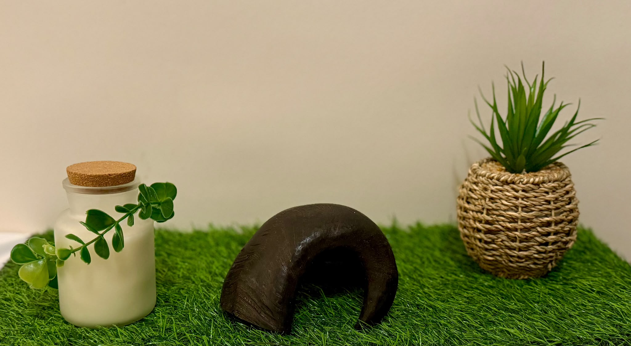 Buffalo Horn Medium